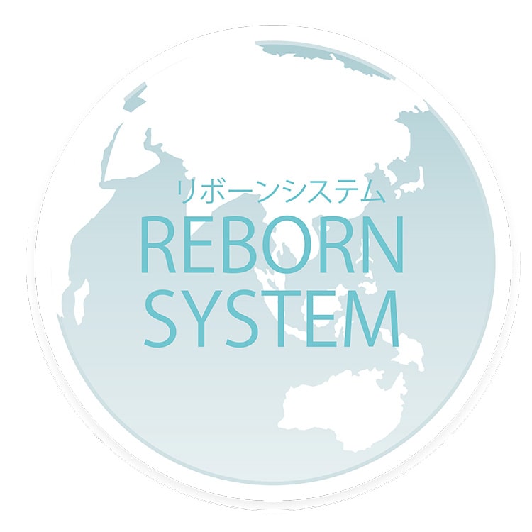 REBORN SYSTEM リボーンシステム